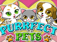 Play Purrfect Pets